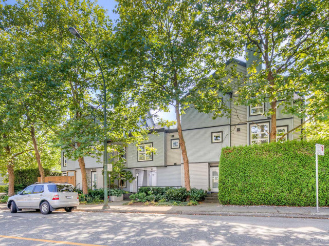 Laurel Mews photo
