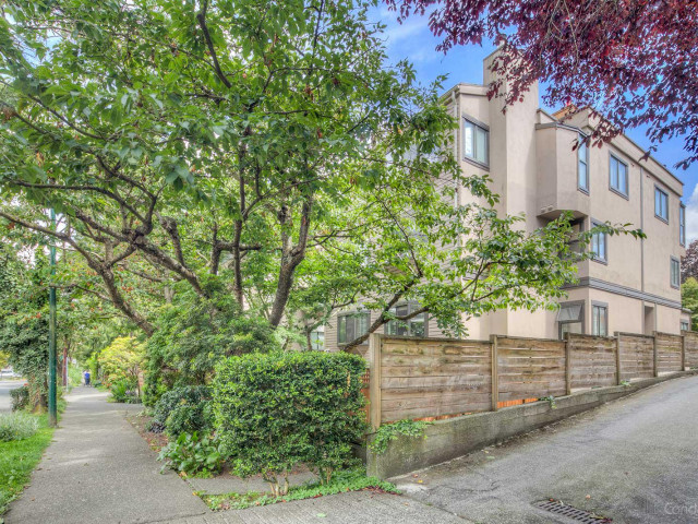 Maple Gardens photo