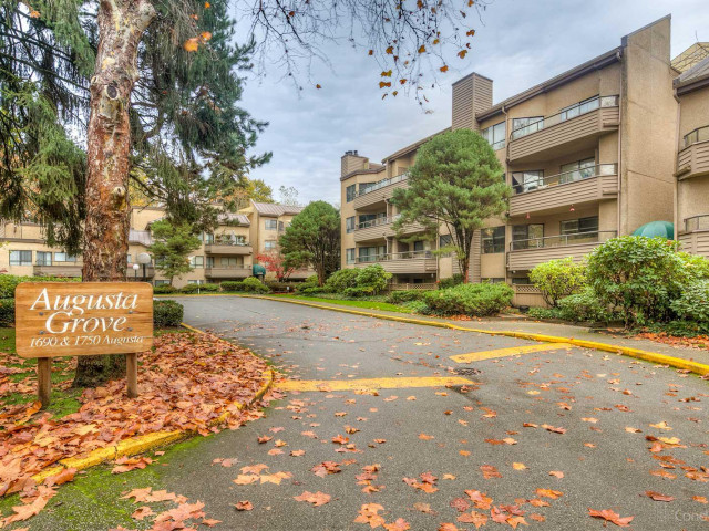 Augusta Grove
