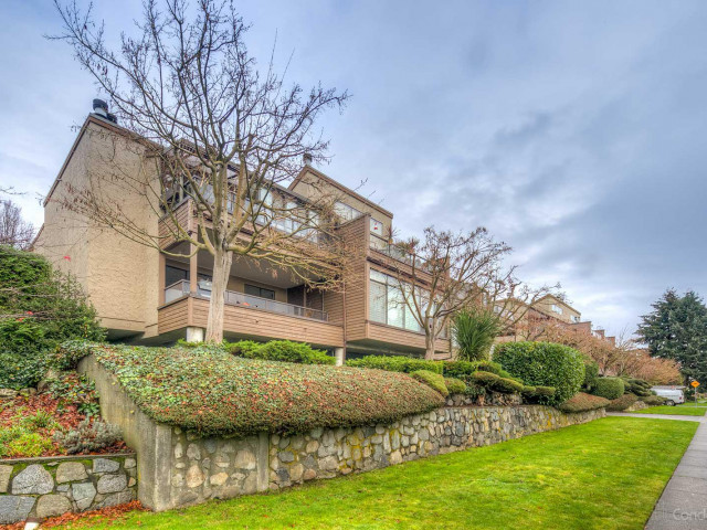 Custer Court