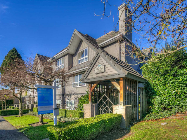 Maple Lane photo