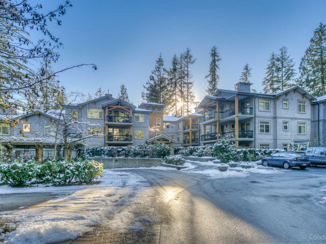 Capilano Ridge photo