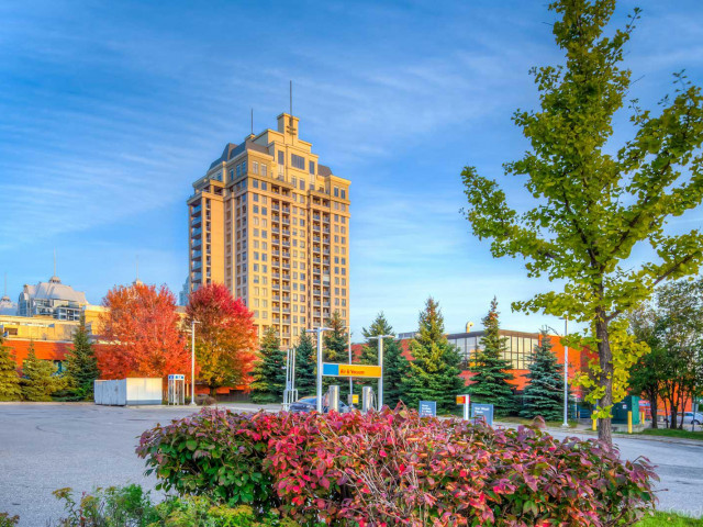 Rockefeller on Bayview