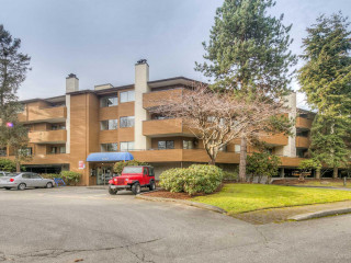 Dorchester Circle photo