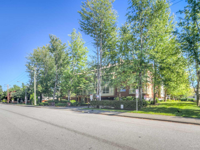 Maple Court