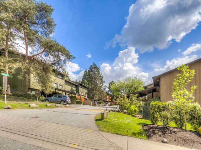 Simon Fraser Hills photo