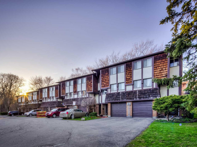 Thistle Lane photo