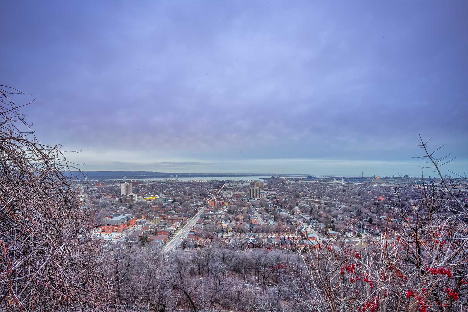 166 Mountain Park Condos at 166 Mountain Park Ave, Hamilton City 1