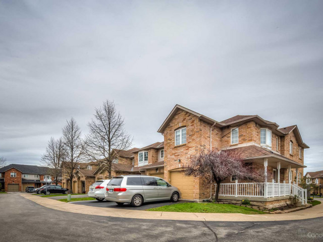Treetops Village photo