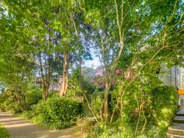 1338 Walnut Street photo