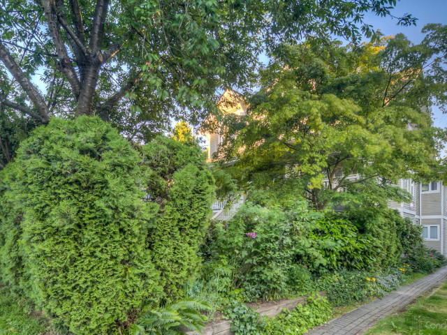 2566-2572 West 5th photo