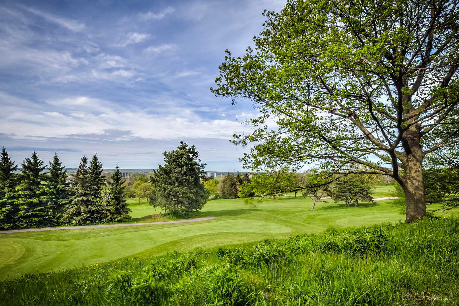 The Fairways at Chedoke at 100 Beddoe Dr, Hamilton City 1