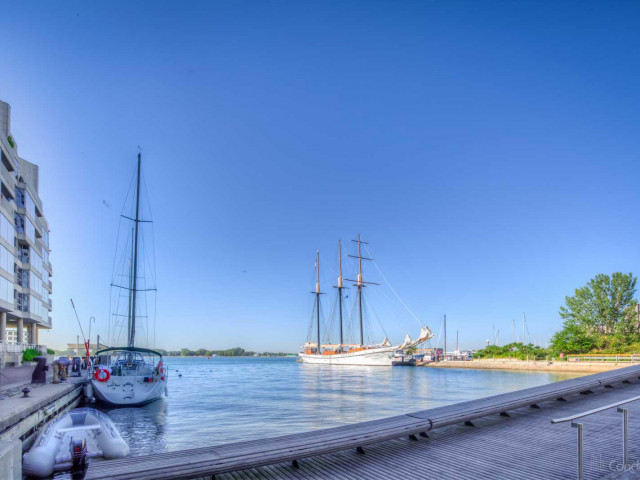 Harbour Terrace photo