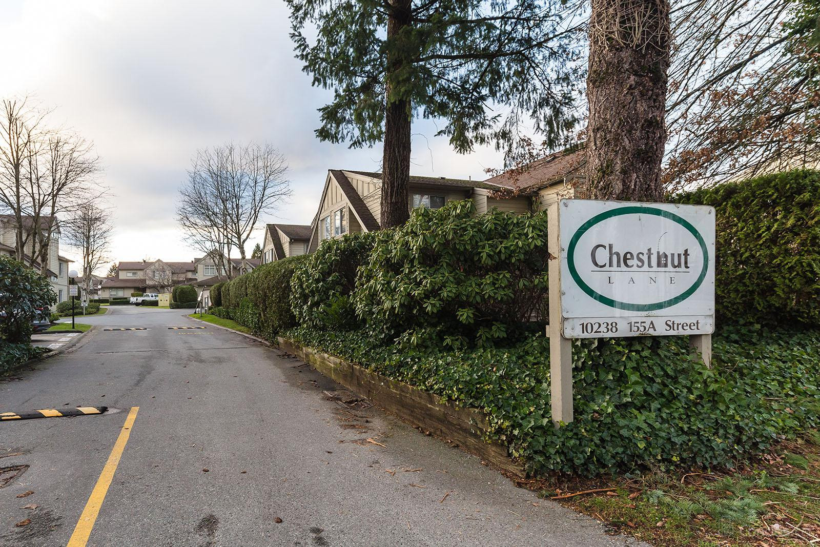 Chestnut Lane at 10238 155a St, Surrey 0