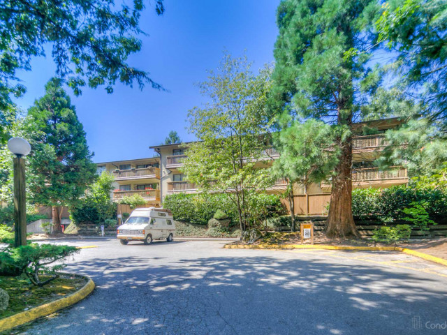 Forest Manor