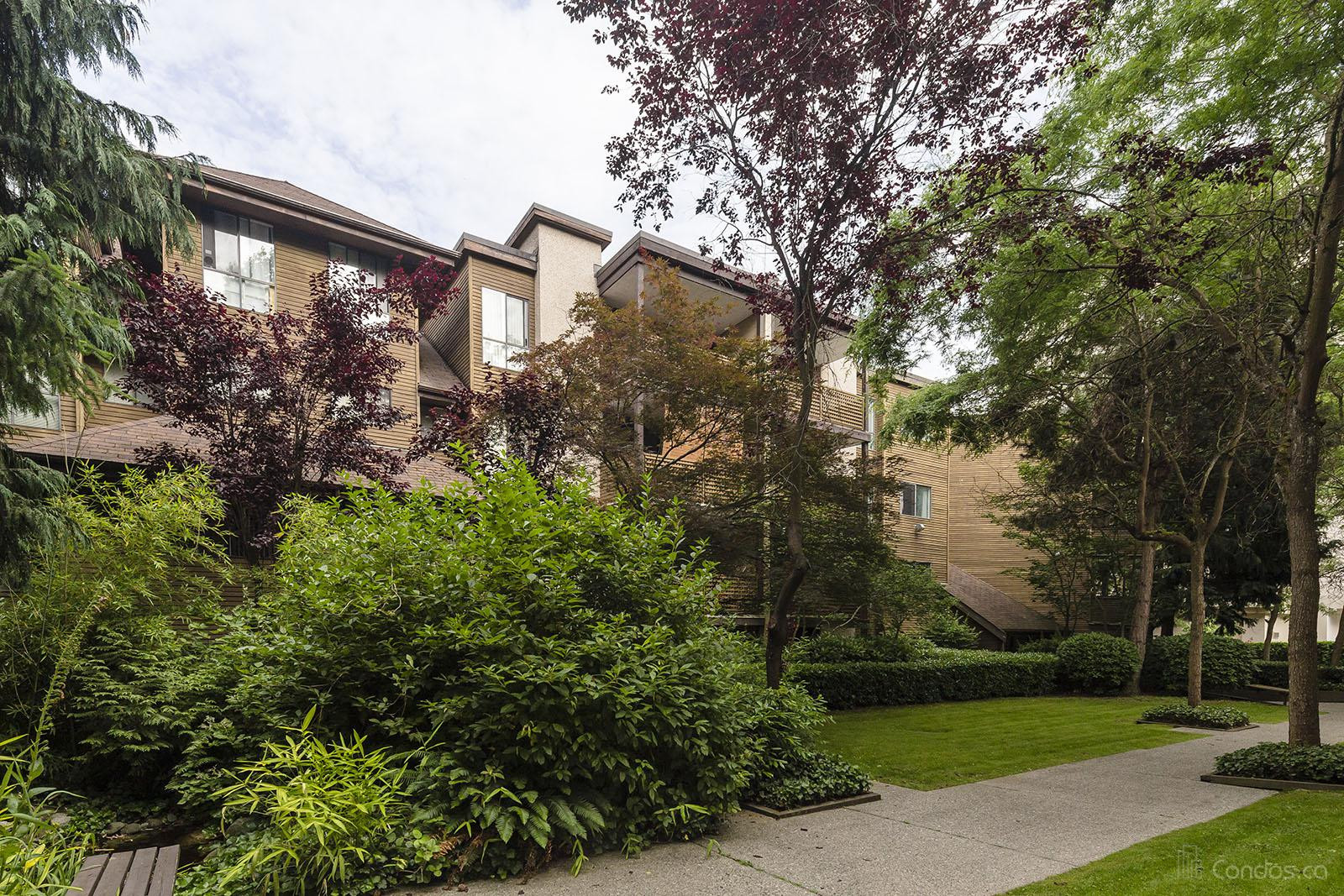 Lincoln's Hill at 10626 151a St, Surrey 1