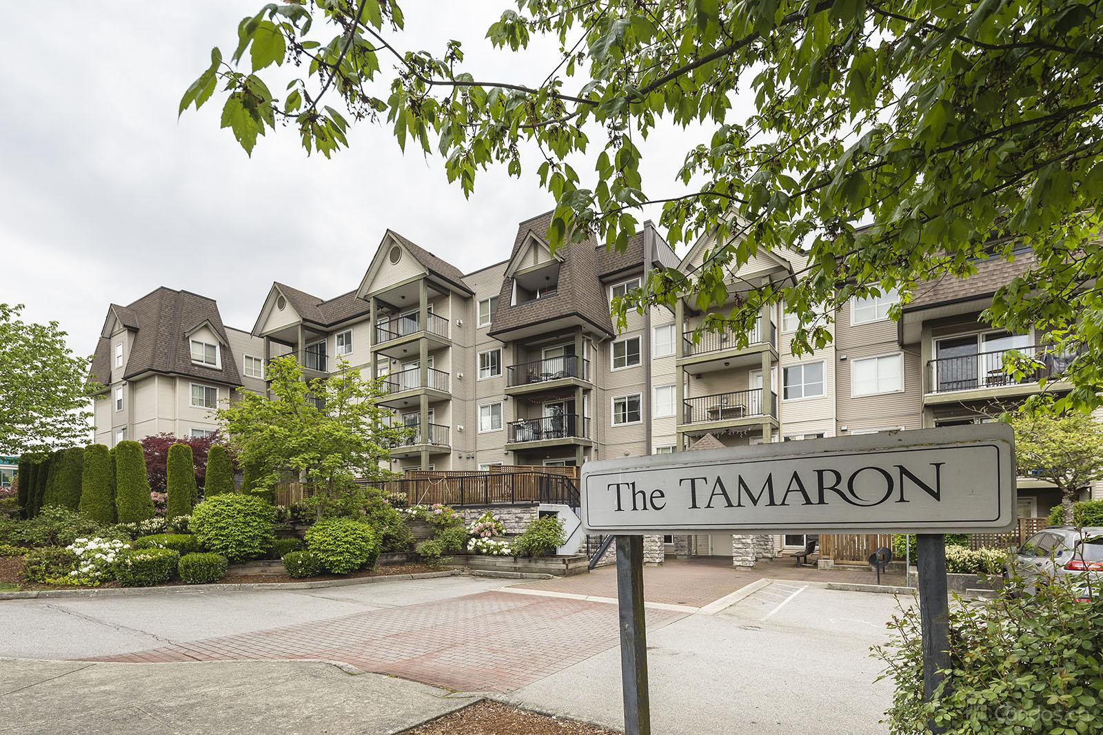 Tamaron at 12083 92a Ave, Surrey 1