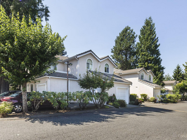 Woodland Grove photo
