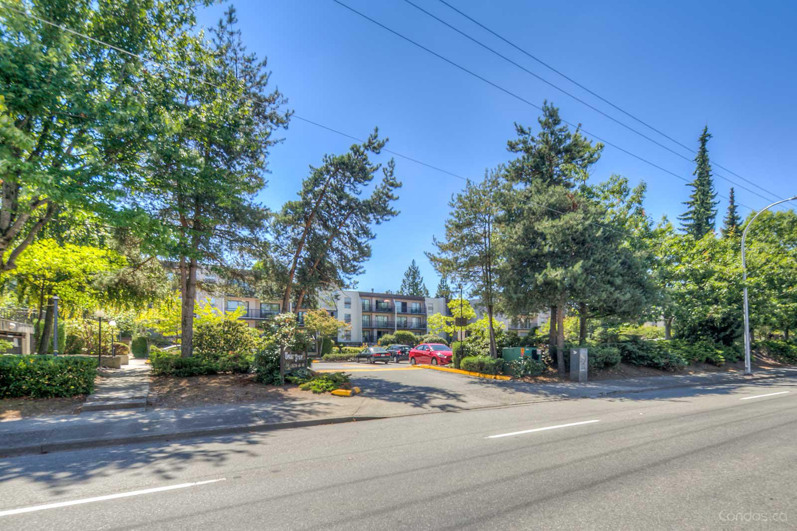 Cedar Grove at 15268 100 Ave, Surrey 1