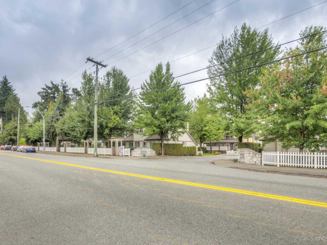 Hazelwood Lane photo