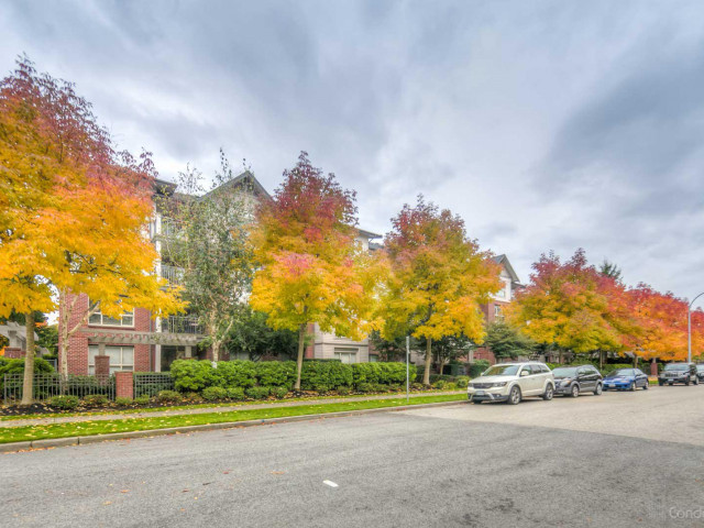 Muirfield Gardens photo