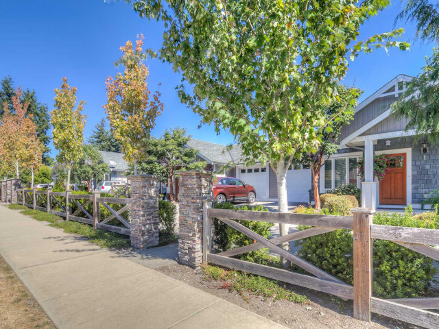 Ocean Crest Cottages photo