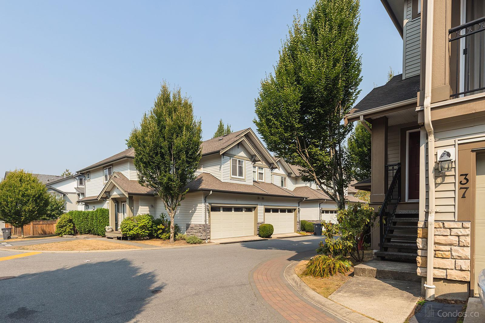 Sequoia Green at 14453 72 Ave, Surrey 0