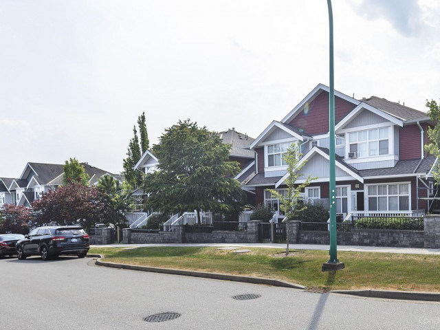 Madrona photo