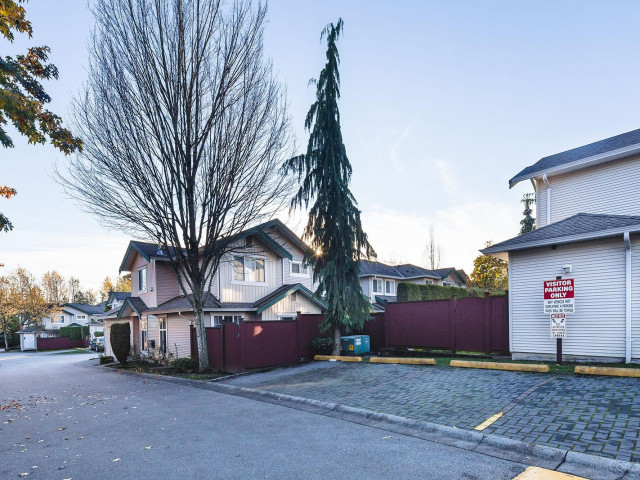 Primrose Lane