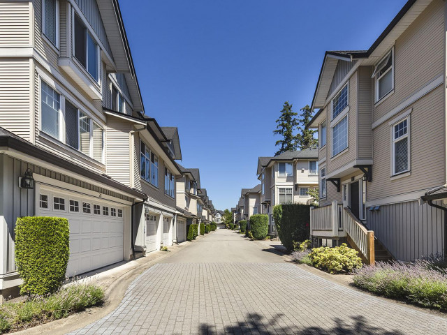 Avalon Woods photo