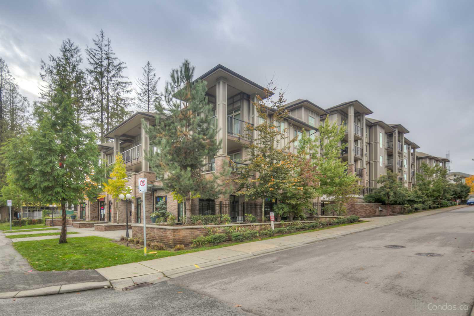 Monterosso at 8695 160 St, Surrey 1