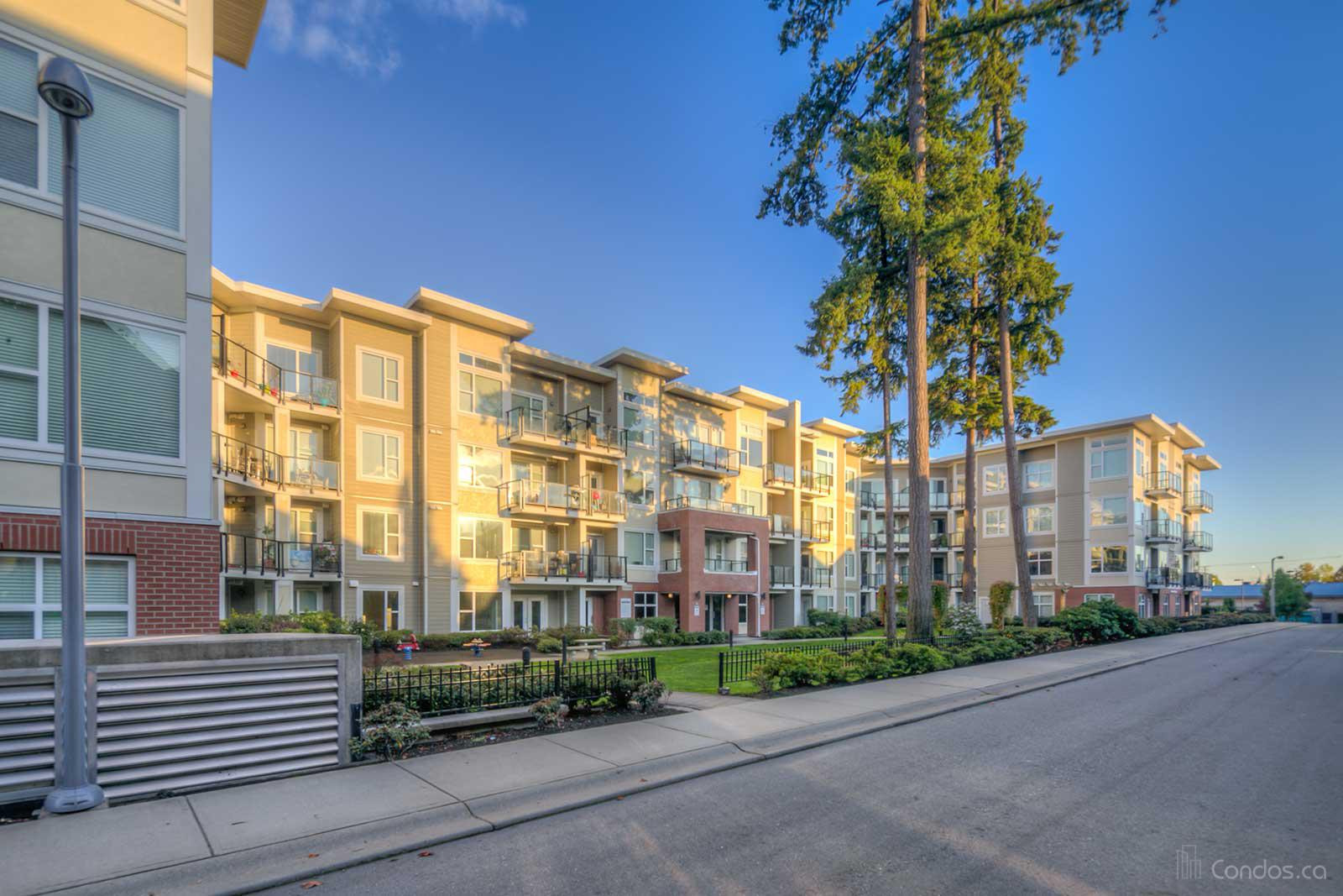 Ascend at 15956 86A Ave, Surrey 1