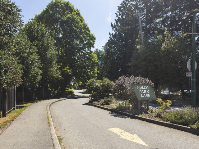 Holly Park Lane photo