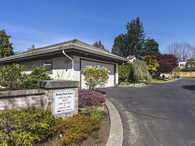 Ocean Park Grove photo