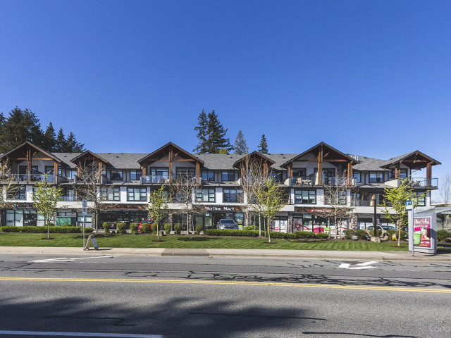 Bayview Terrace photo