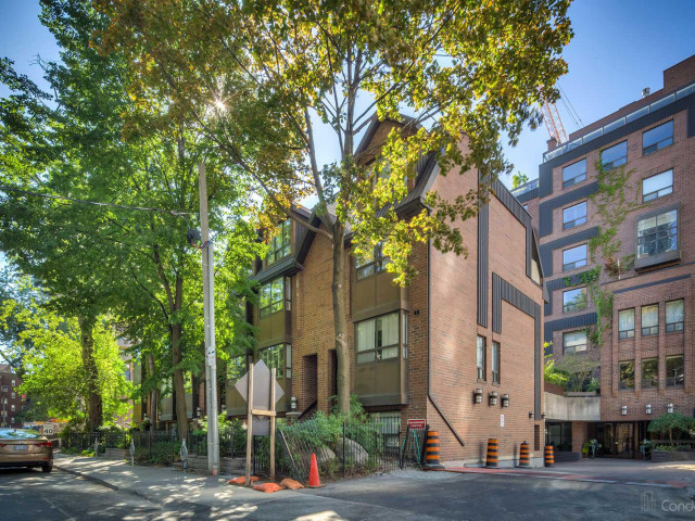 Terrace Court photo