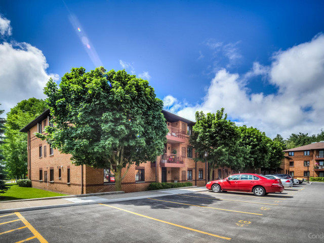 Sunnidale Terrace