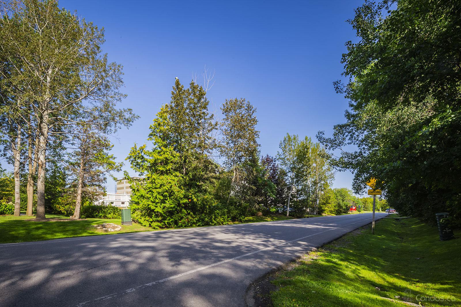 The Meadows at 12 Dawson Dr, Toronto 0