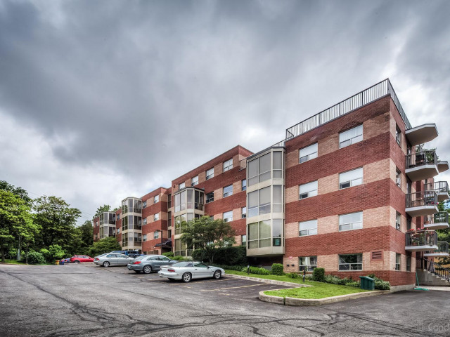 South Winds Terrace photo