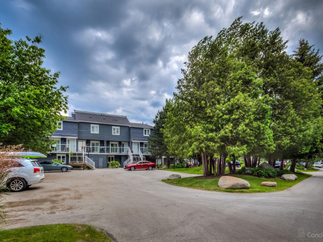 44 Trott Condos photo
