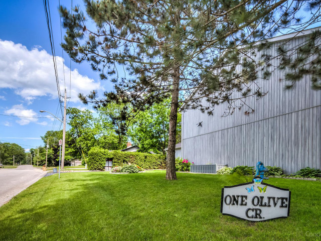 1 Olive Condos photo