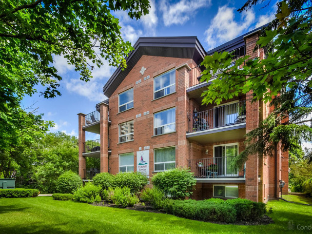 Windmill Terrace photo