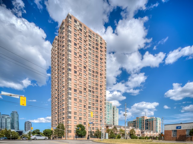 The Omni