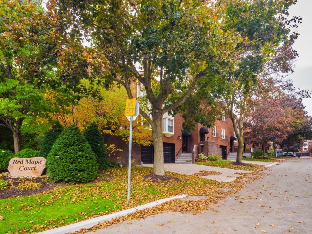 Red Maple Court Townhouses photo