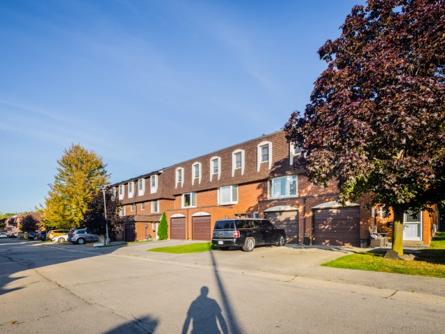 White Oaks photo