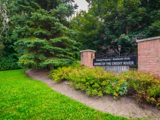 Banks of the Credit River photo