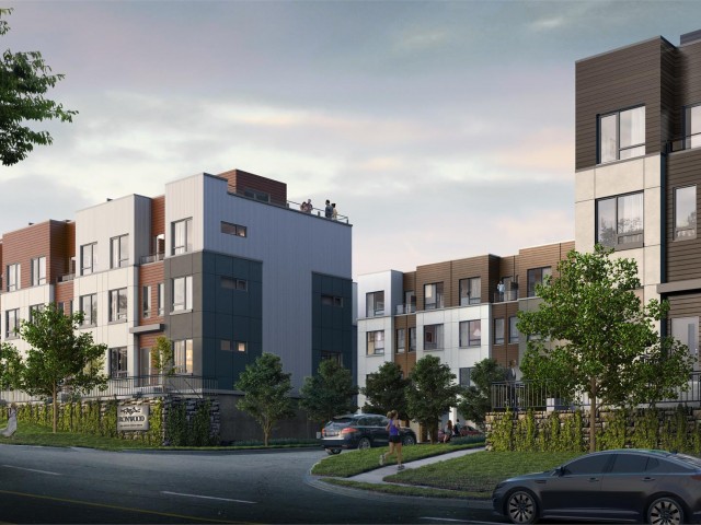 Ironwood in North Oshawa photo