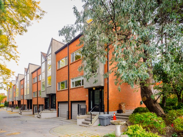 Woodbine Mews photo