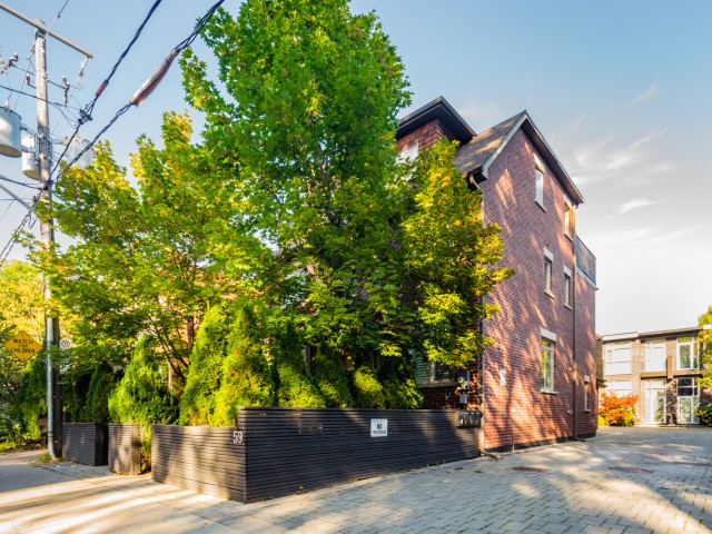 59 Elm Grove Avenue Townhouses hero image