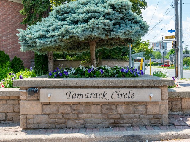 Tamarack Circle Townhouses photo
